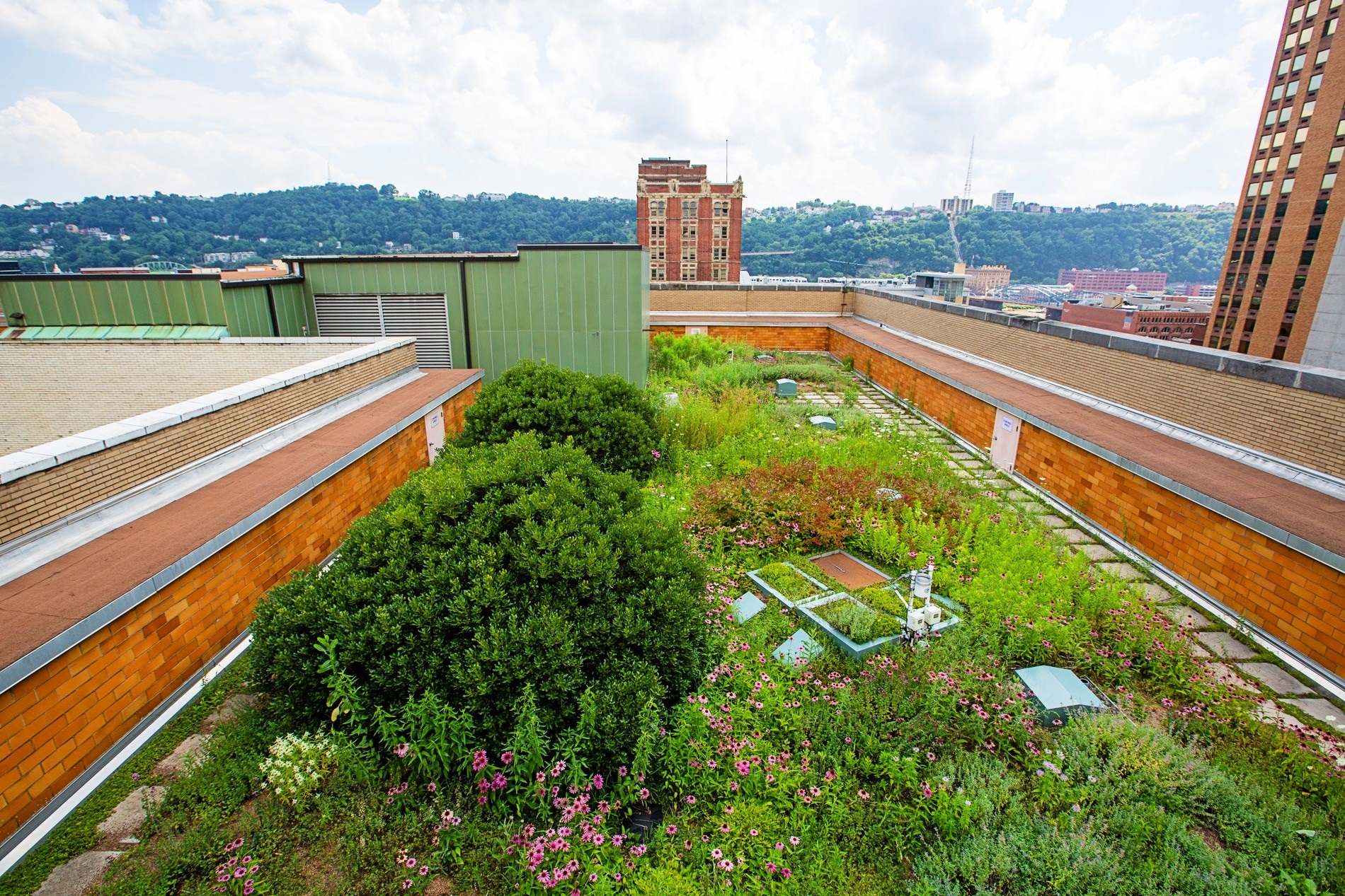Sustainability Green Roof COB