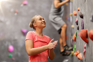 Climbing Wall (demo only)