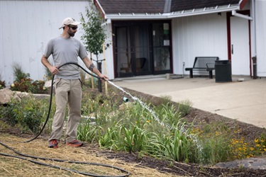 Round Hill Rain Garden